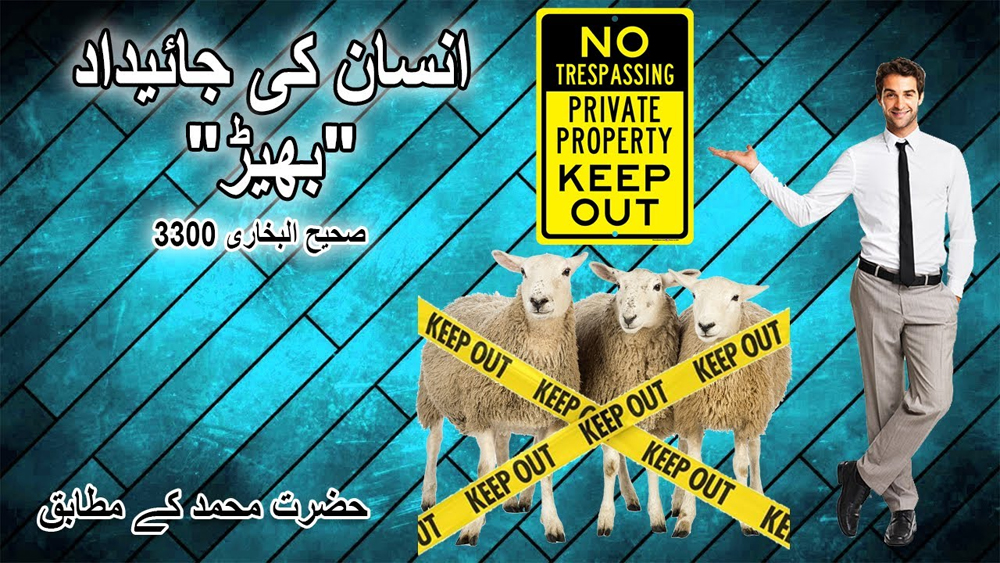 Property of Man Sheep /انسان کی جائیداد 